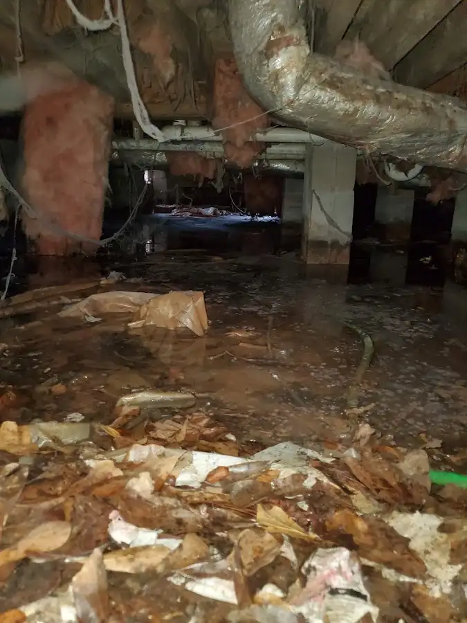 Crawl space flood assessment for Commercial Water Damage Restoration in Bigfork