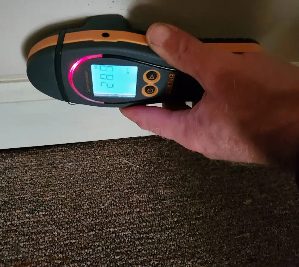 Moisture detection at baseboard during Sewage Cleanup & Sanitation in Bigfork